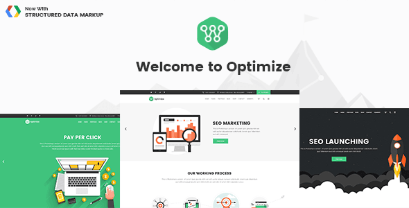 1471253880_optimize-v1.1-seo-digital-marketing-social-media-theme.png