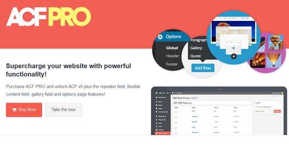 1491146971_advanced-custom-fields-pro-v5.3.3.2-wordpress-plugin.png