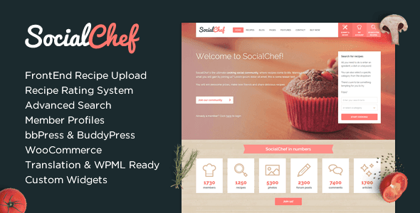 1499928242_socialchef-social-recipe-wordpress-theme.png