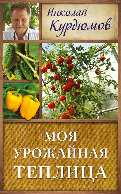 cv9.litres.ru_static_bookimages_21_70_96_21709694.bin.dir_21709694.cover_415.jpg