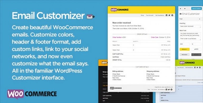 Email-Customizer-770x391.jpg