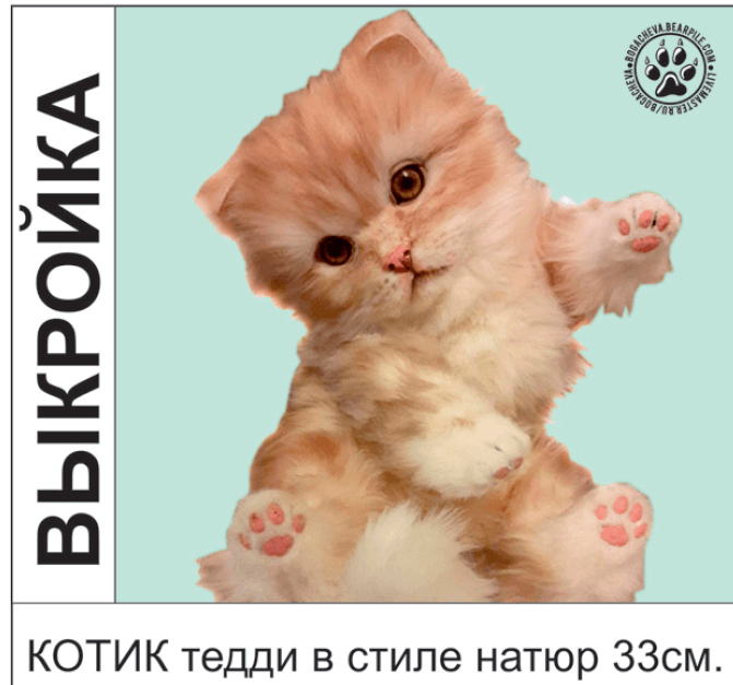 котик.png