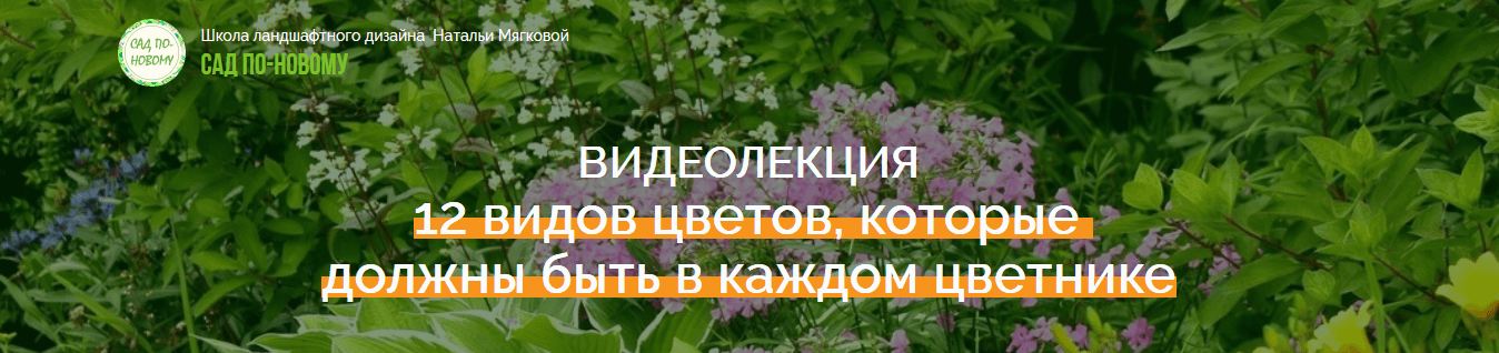 Наталья_Мягкова]_12_видов_цветов.png