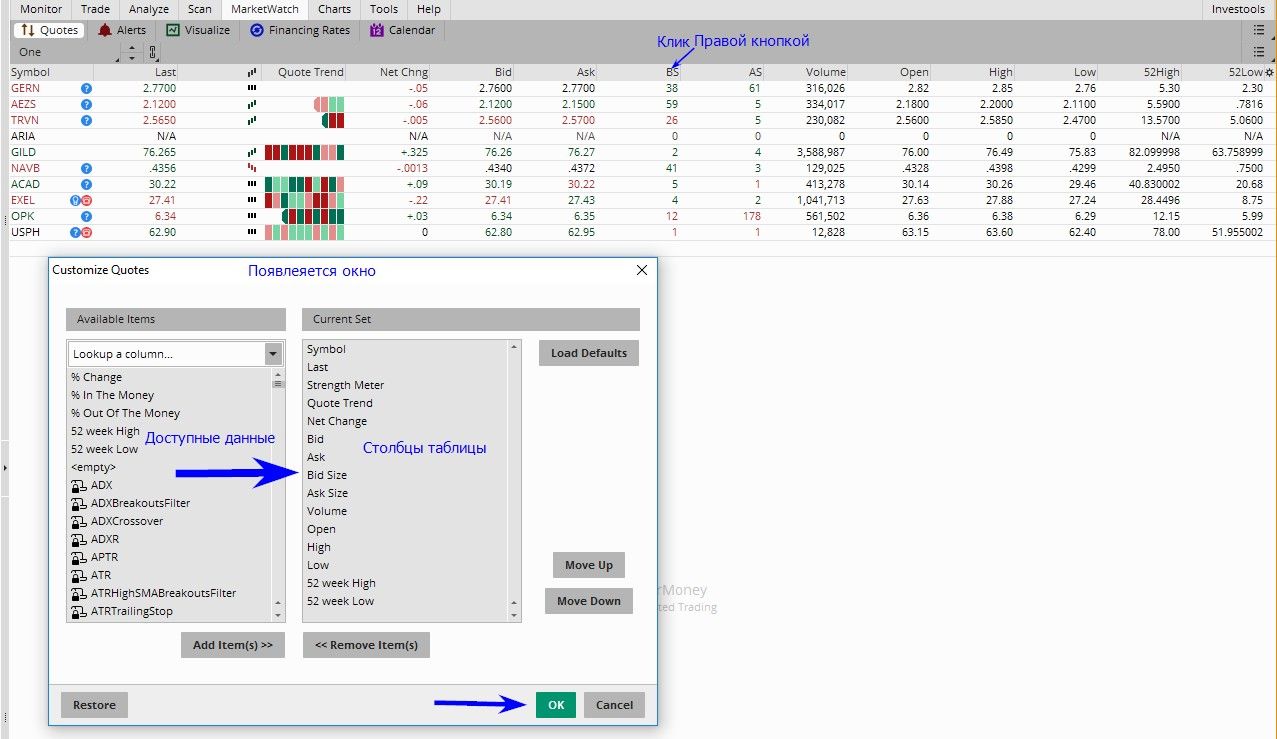 Программирование ThinkOrSwim.jpg