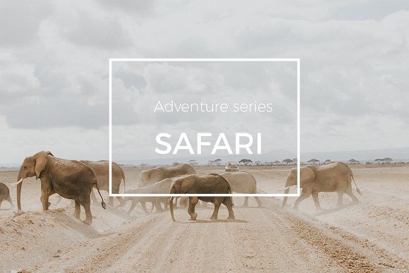 safari-.jpg