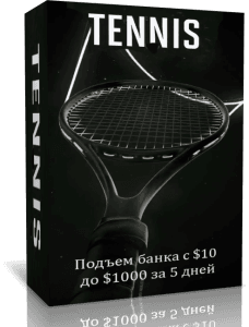 tennis-228x300.png