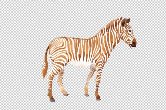 Zebra-set-Watercolor-png-by-MyStocks-1-580x387.jpg