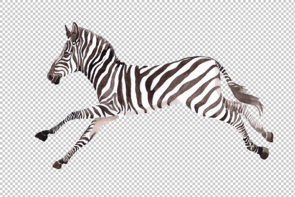 Zebra-set-Watercolor-png-by-MyStocks-3-580x387.jpg