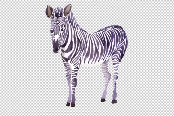 Zebra-set-Watercolor-png-by-MyStocks-4-580x387.jpg